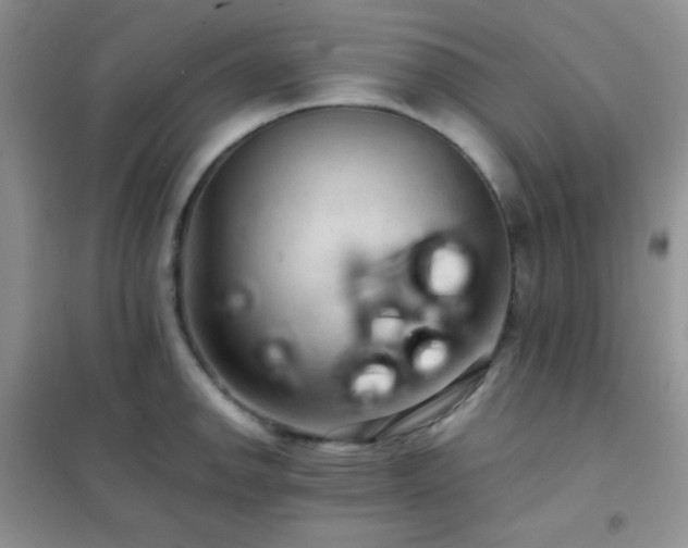 X0000102381142200808011531