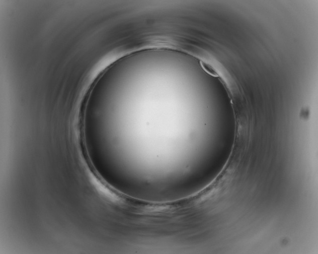 X0000102381143200808011531