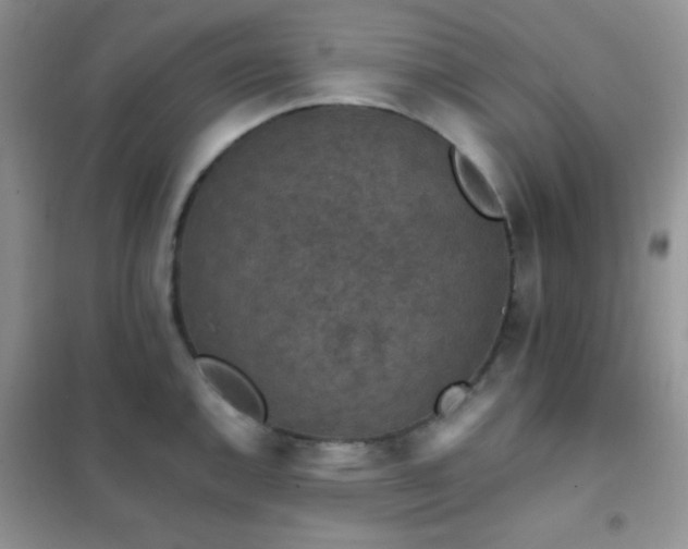 X0000102381144200808011531