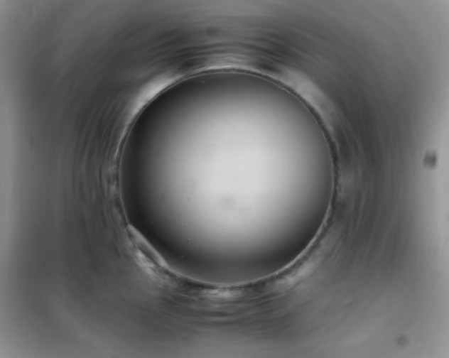 X0000102381145200808011531