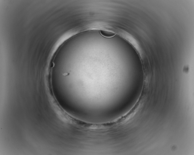 X0000102381146200808011531