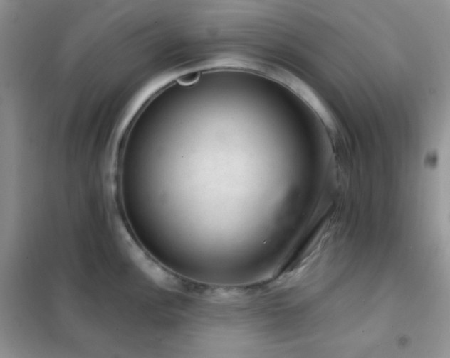X0000102381148200808011531