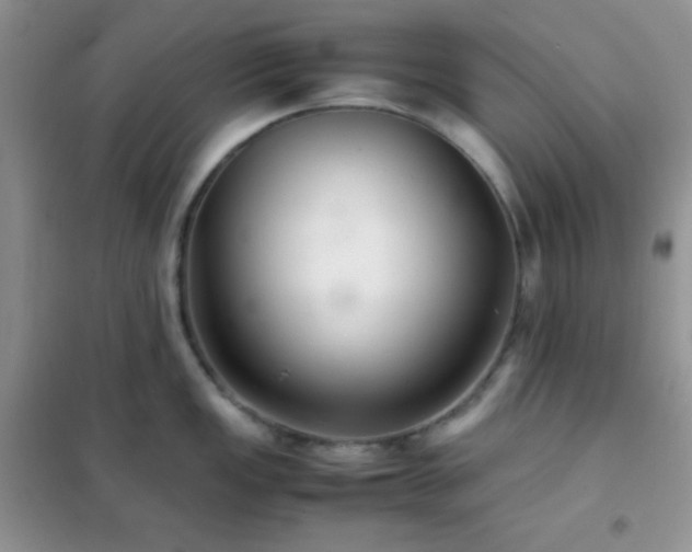 X0000102381149200808011531