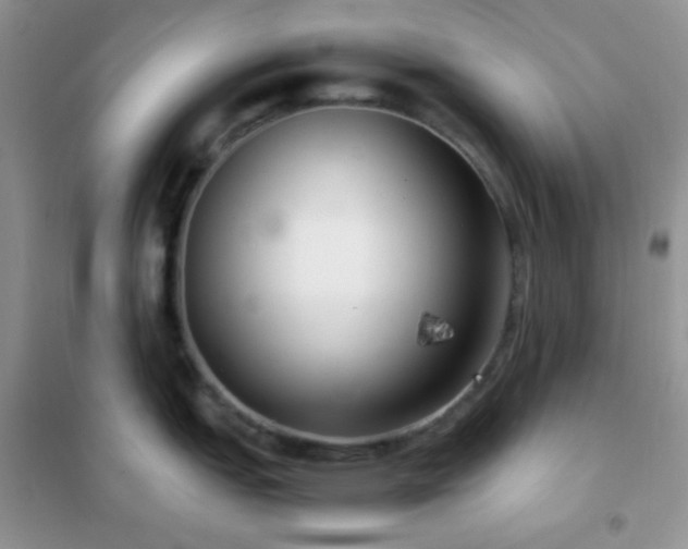 X0000102381151200808011531