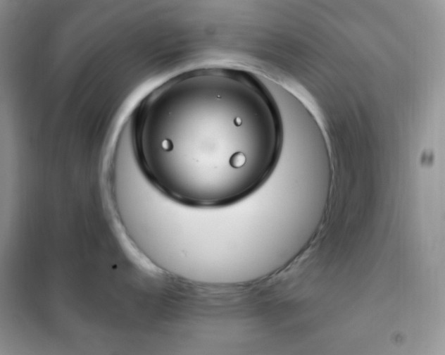 X0000102381152200808011531