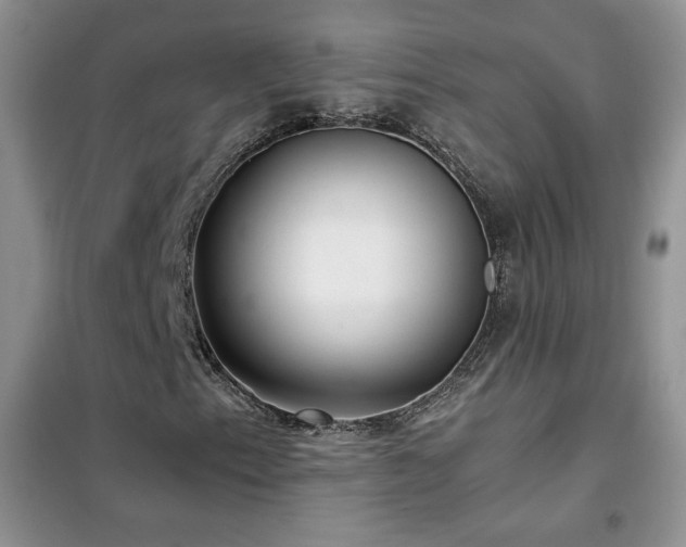 X0000102381153200808011530