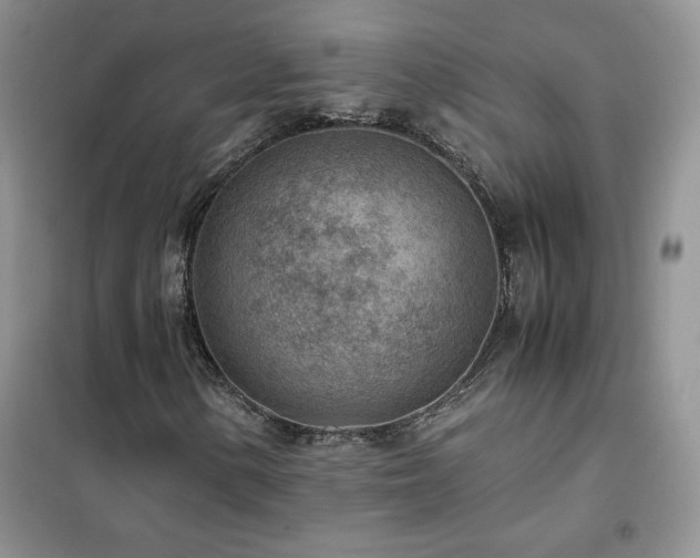 X0000102381154200808011530