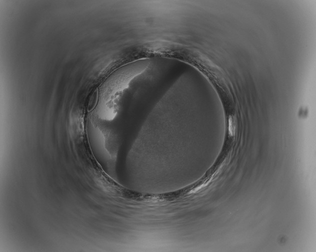 X0000102381155200808011530