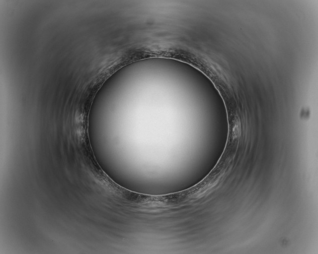 X0000102381156200808011530