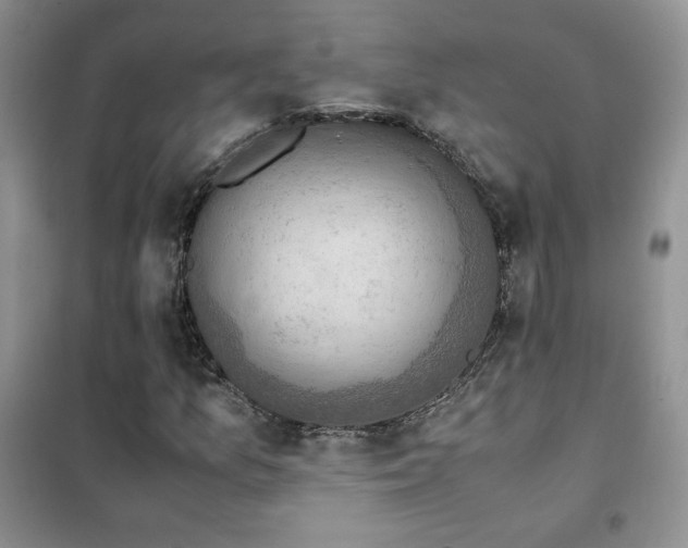 X0000102381157200808011530