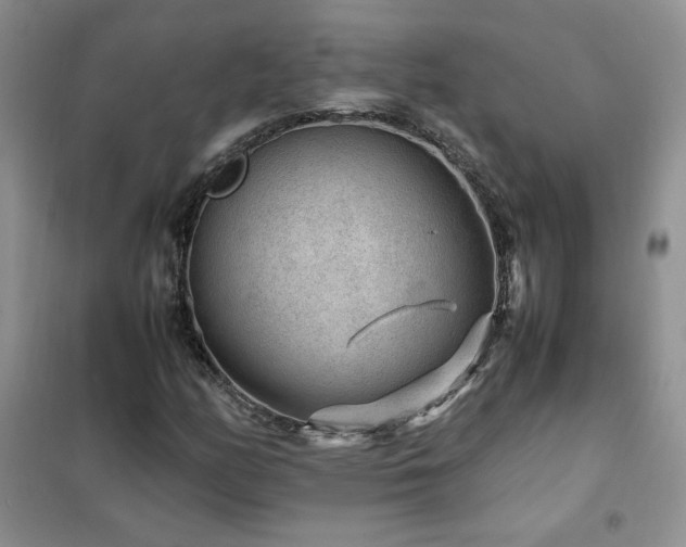X0000102381158200808011530