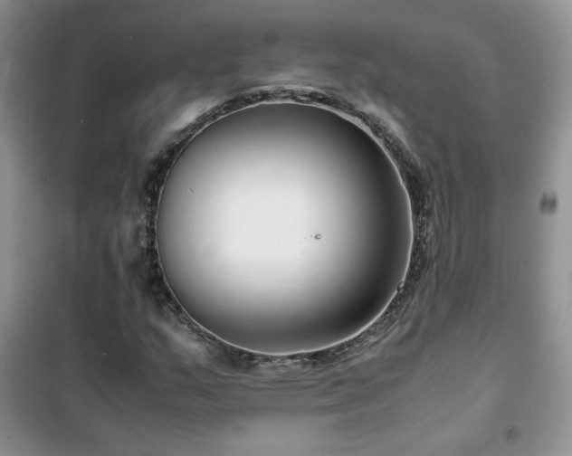 X0000102381159200808011530