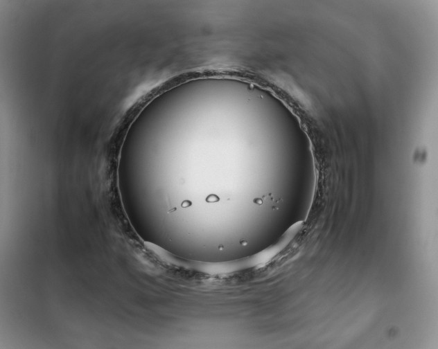X0000102381160200808011530