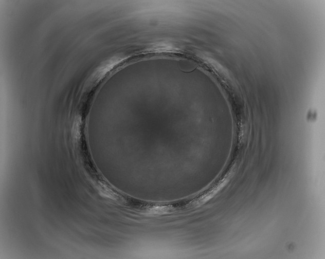 X0000102381161200808011530