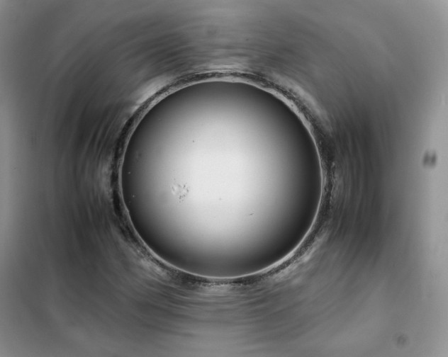 X0000102381162200808011530