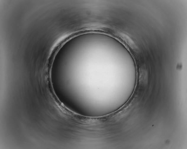X0000102381164200808011530