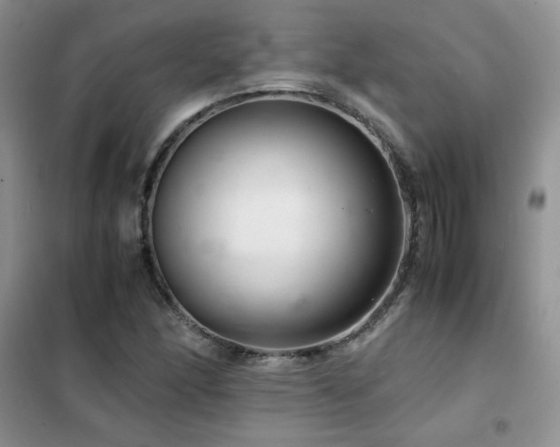 X0000102381166200808011530