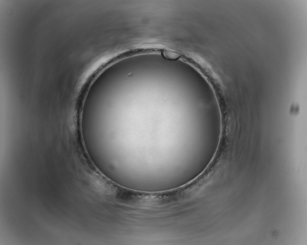 X0000102381167200808011530