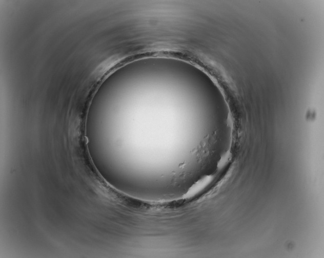 X0000102381169200808011530