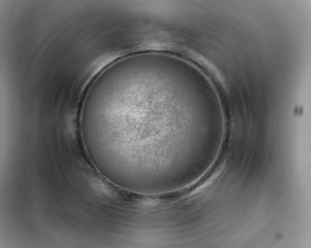 X0000102381170200808011530