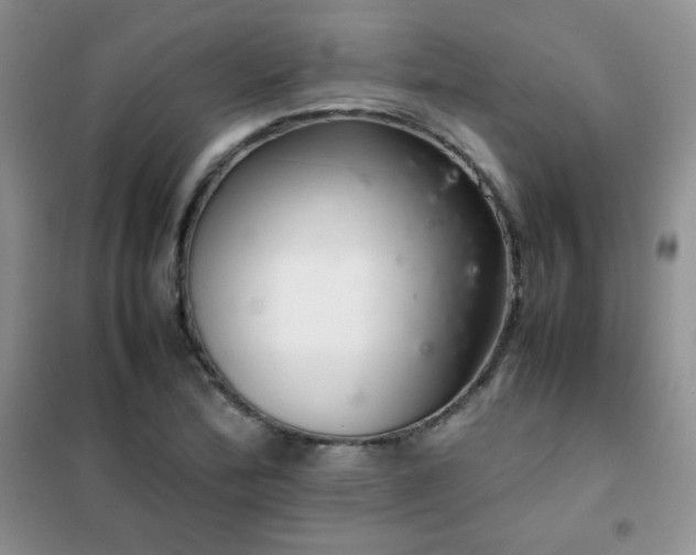 X0000102381172200808011530
