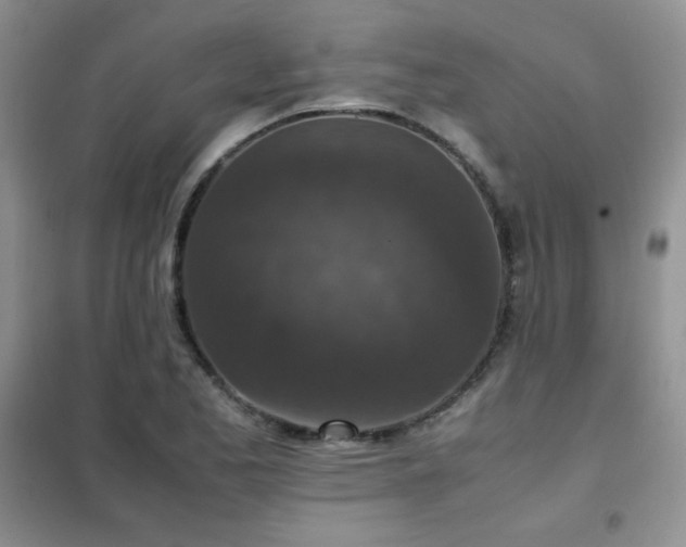 X0000102381173200808011530