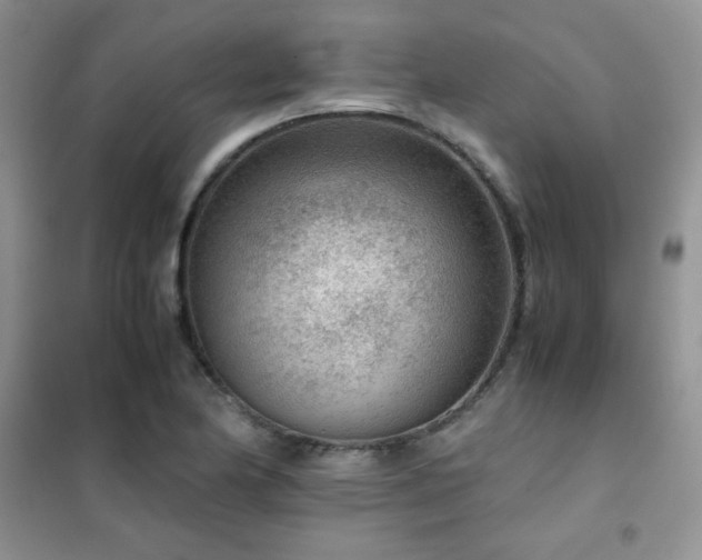 X0000102381174200808011530
