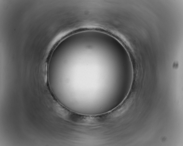 X0000102381175200808011530