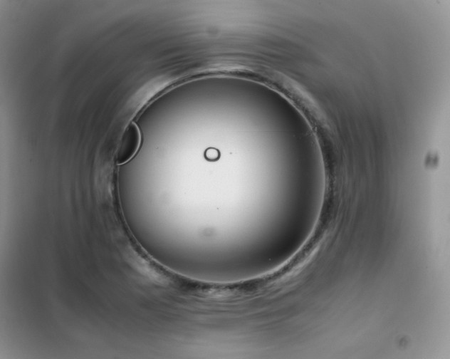 X0000102381177200808011530