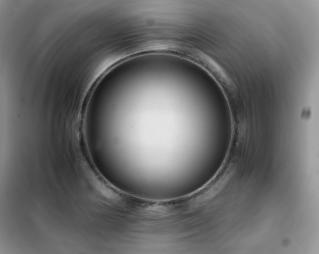 X0000102381178200808011530