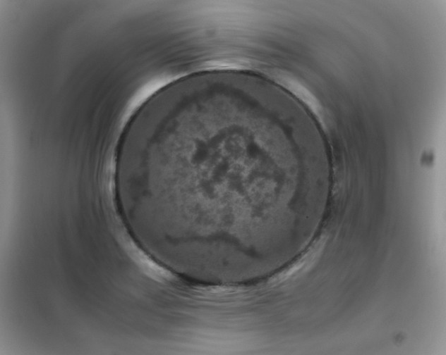 X0000102381179200808011530