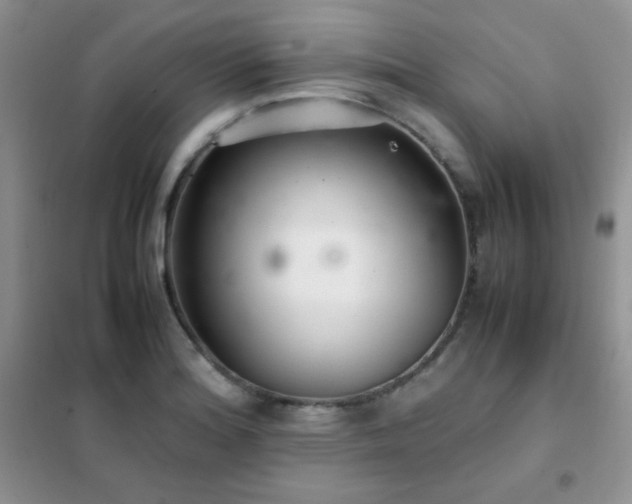 X0000102381180200808011530