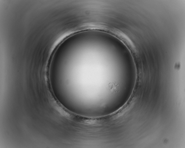 X0000102381182200808011530