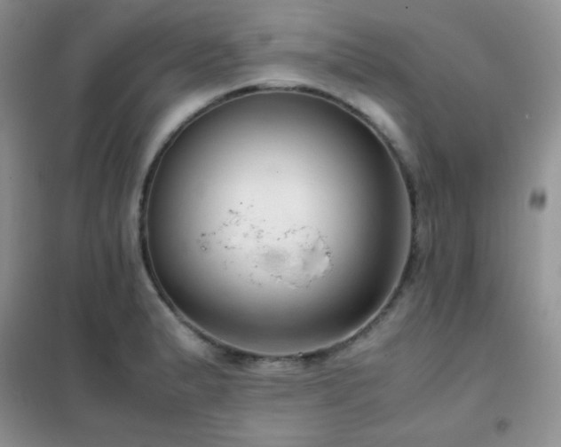 X0000102381183200808011530