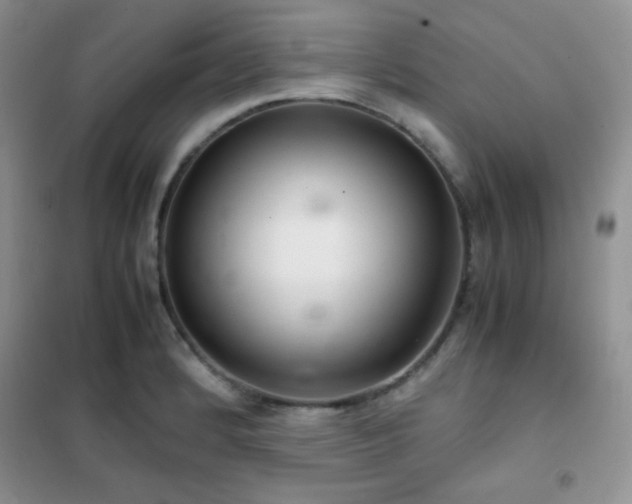 X0000102381184200808011530