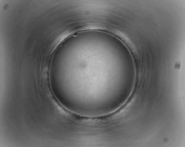 X0000102381185200808011530