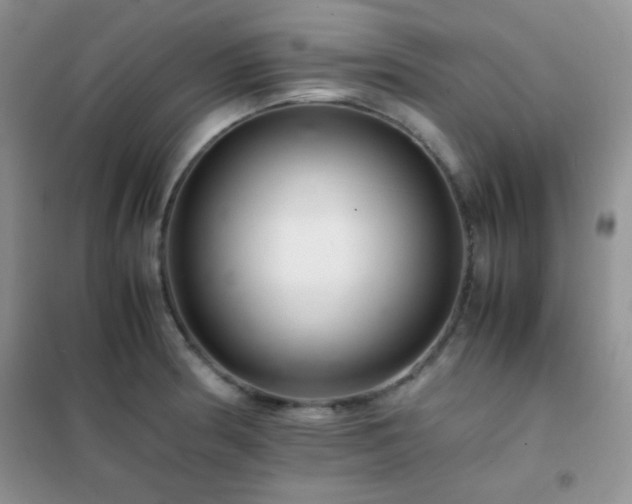 X0000102381186200808011530