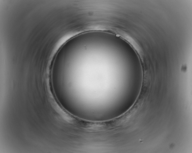 X0000102381187200808011530