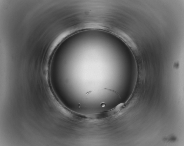 X0000102381188200808011530