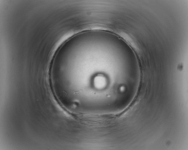 X0000102381189200808011529