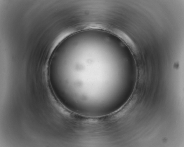 X0000102381190200808011529