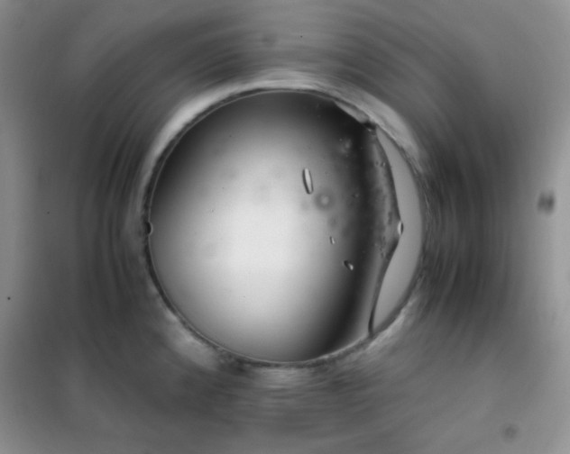 X0000102381192200808011529