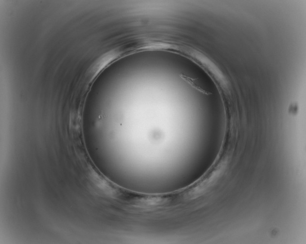 X0000102381193200808011529