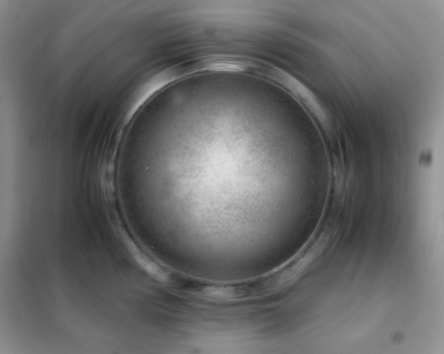 X0000102381194200808011529