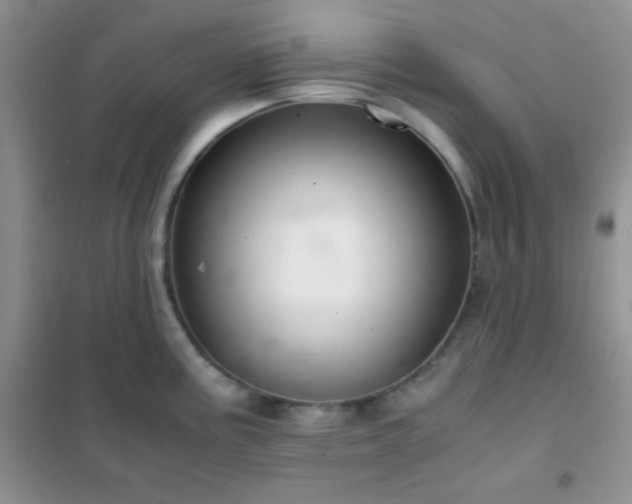 X0000102381195200808011529