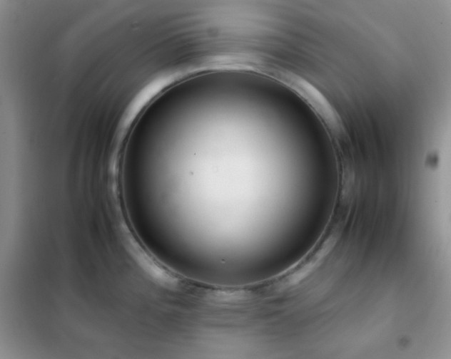 X0000102381196200808011529