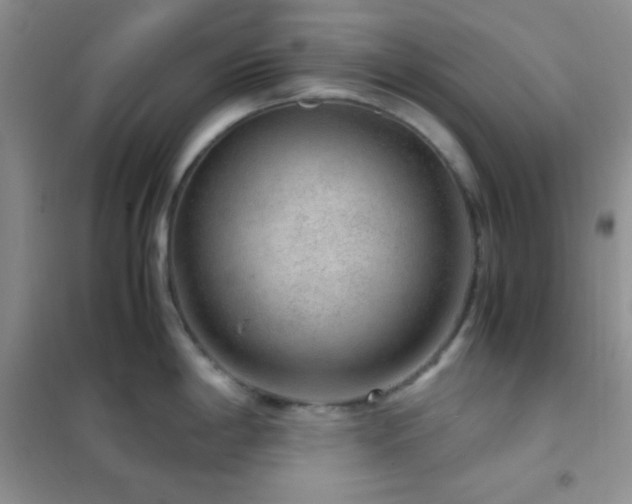 X0000102381198200808011529