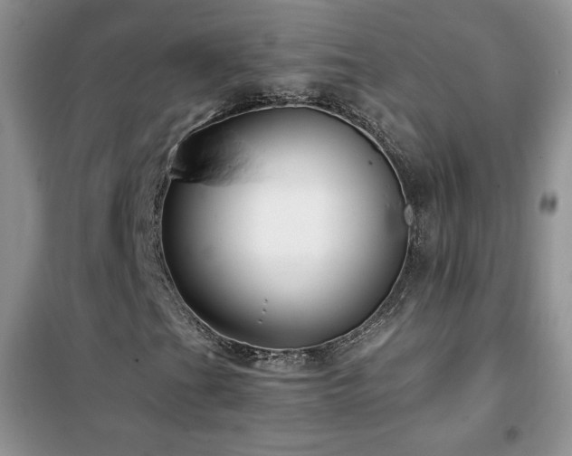 X0000102381201200808011529