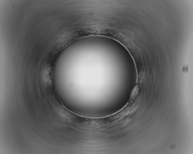 X0000102381202200808011529