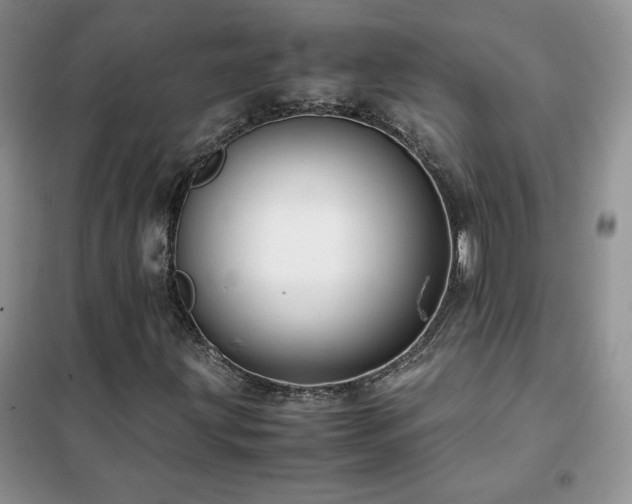 X0000102381203200808011529